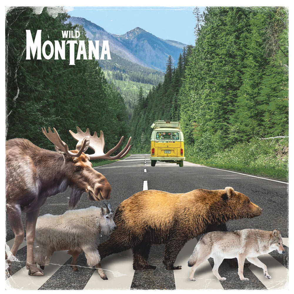 Wild MT Road | Sticker image 0