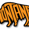 Montana Bison | Sticker