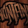 Montana Bison | Sticker - Image 3