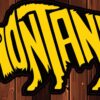 Montana Bison | Sticker - Image 2