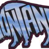 Montana Bison | Sticker - Image 6